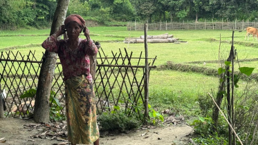 Landmine_Border_Bandarban (1).jpeg