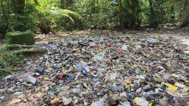 Lawachara littering 3.jpg
