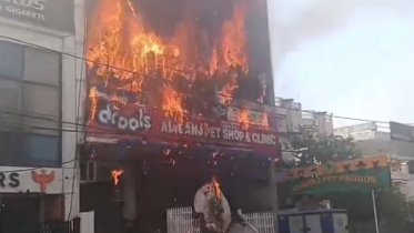 Lucknow fire.png