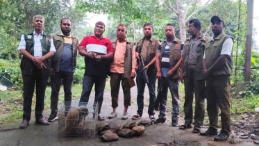 The suspect, Md Hadis Rahman, 40, of Dhaka's Mirpur-11 area, was arrested from a house in Bhangarmukh Bazar. Photo: Collected