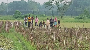 Stranded_Border_Quamrul.jpg