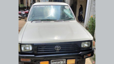 The attackers also allegedly vandalised a department vehicle. Photo: Collected