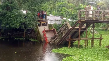 collapsed bridge.webp