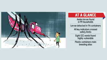 ctg-dengue-stat.jpg