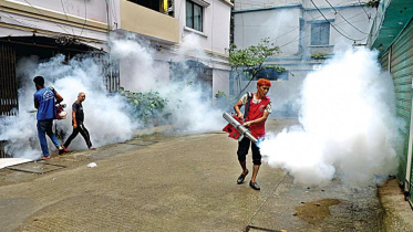 dengue-drive.jpg