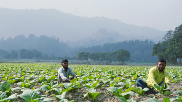 Bangladesh hill cutting law 2026