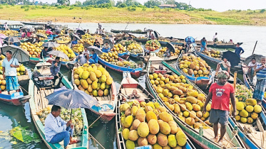 A-fruit-market-1.jpg