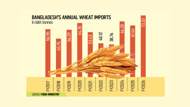 BD wheat.jpg