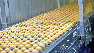Food-processing-4.jpg