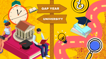 Gap year.png