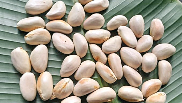 Jackfruit_seed.jpg