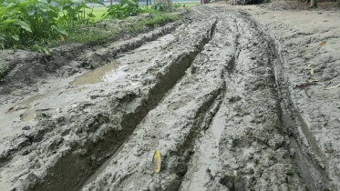 Jamalpur_MudRoad.jpg