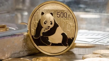 Panda-Bond.jpg