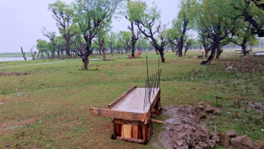 Taltali-upazila.jpg