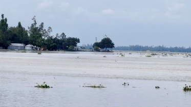 Teesta.jpg