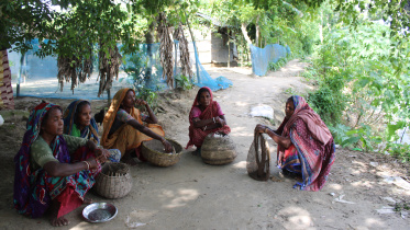 Jhenaidah Bagdi community livelihood crisis