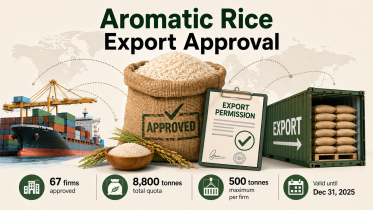 aromatic rice export.png