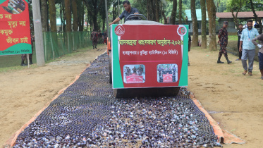 BGB drug seizure operation Bangladesh