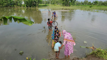 floods-wash-away-road-01.jpg