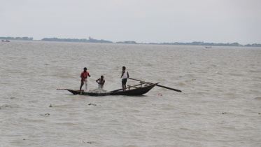 hilsa-season.jpg