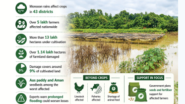 Heavy monsoon rain affects 5 lakh farmers