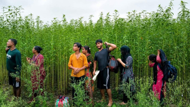 BGB stops BSF push in attempt