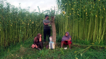 BENAPOLE PHOTO---BSF attempt to push in 3 people foiled by BGB at Chuadanga border---09.08.26.jpg