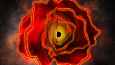 Black hole star
