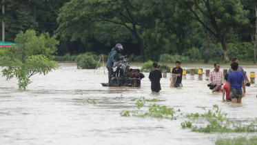 Flood.jpg