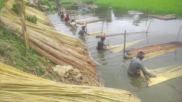 Bangladesh jute export potential