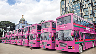 Pink-Bus.jpg