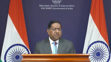 India's role in Sheikh Hasina August 5 virtual event