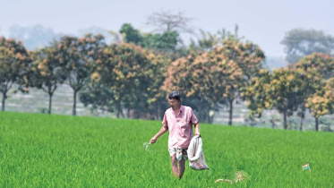 fertilizer-import-canada.jpg