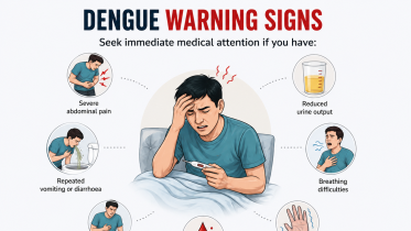 dengue fever danger period