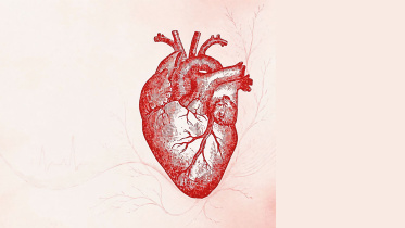 Heart1.jpg