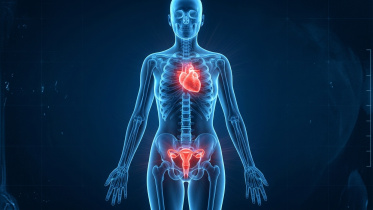 Truth about menopause and your suddenly rising heart risk