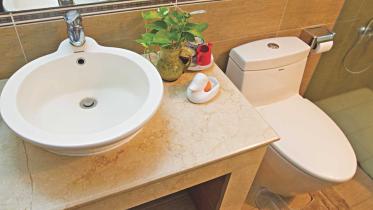 Bathroom oasis 
