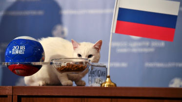 2018-06-13T133256Z_1340464234_RC1BE3215D10_RTRMADP_3_SOCCER-WORLDCUP-RUS-SAU-ORACLE-CAT.jpg
