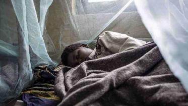 malaria web.jpg