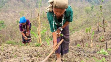 cht-zoom-cultivation.jpg