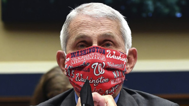 fauci.jpeg