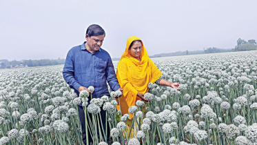 onion-seed-farmer.jpg