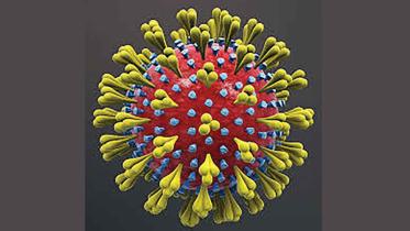 covid-19.jpg