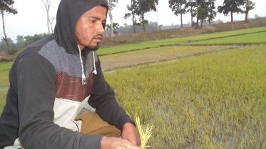 worries-farmers-Sylhet-haors.jpg