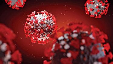 coronavirus.jpg