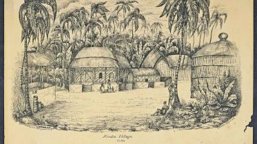 the-sundarban-plan.jpg