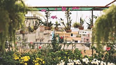 Greening-concrete.jpg