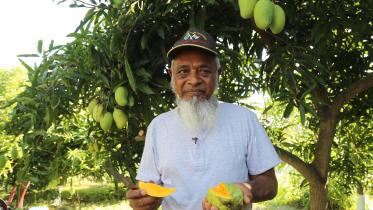 Baromashi-(year-long)-mango.jpg