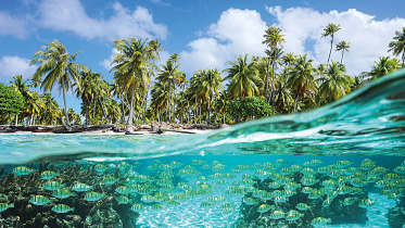 biodiversity-friendly-trade.jpg