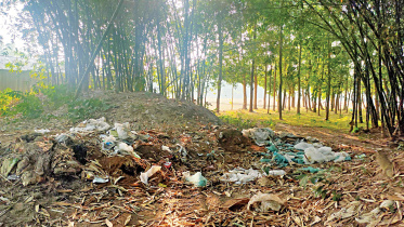 Poultry-Farms-Madhabpur-upazila.jpg